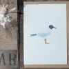 Gull A6 greetings card with Kraft envelope
