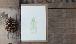 Lacewing A6 greetings card with Kraft envelope