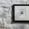 Bee square framed botanic art print