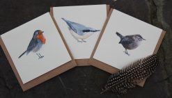 Garden Birds Designs notecards 6 pack