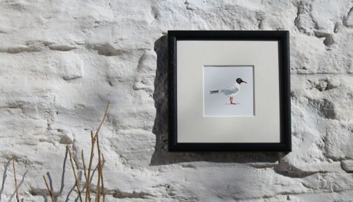 Gull framed coastal art print