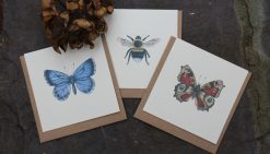 Insect Designs notecards 6 pack
