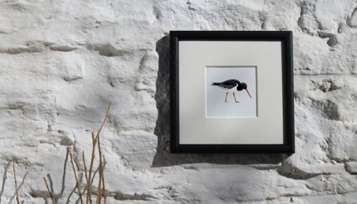 Oystercatcher framed Seabird Art Print