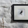 Puffin framed Seabird Art Print