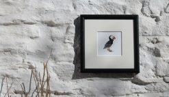 Puffin framed Seabird Art Print