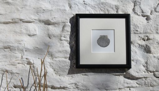 Scallop Shell framed coastal art print