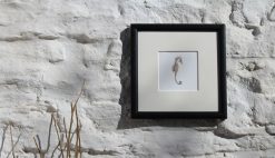 Seahorse framed coastal art print