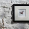 Wren square framed garden bird print