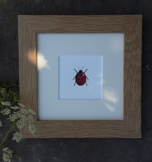 Ladybird print in square oak frame