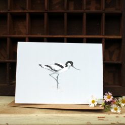 A6 card featuring a Avocet and flowers
