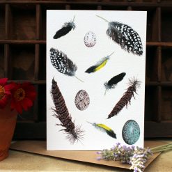 A6 card featuring Feather & Eggs with flowers