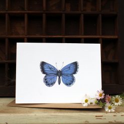 A6 card featuring a Holly Blue butterfly and flowers