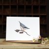 A6 card featuring a Nuthatch and flowers