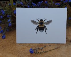 Bee A6 CARD