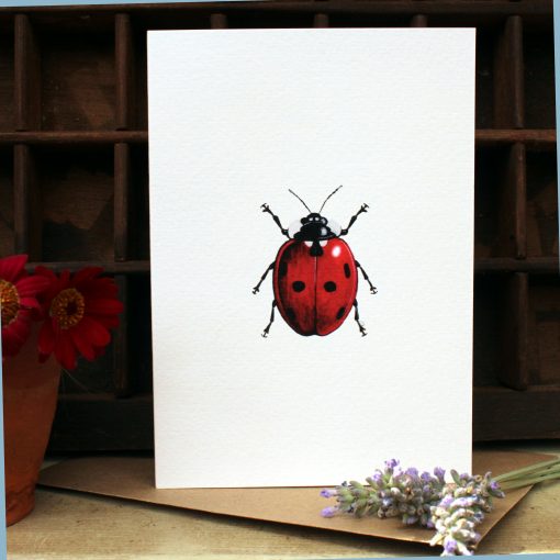 A6 card featuring the Ladybird with flowers