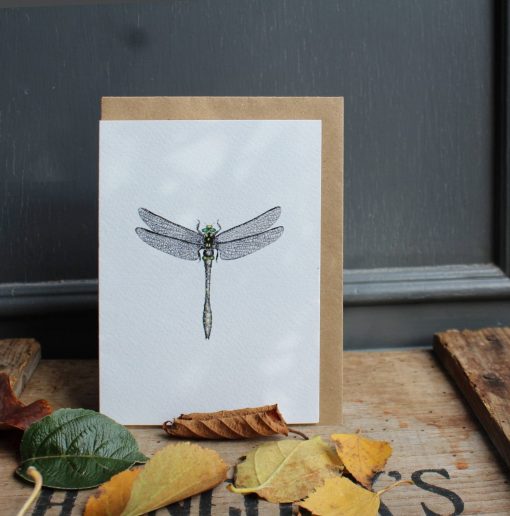 A6 card Dragonfly