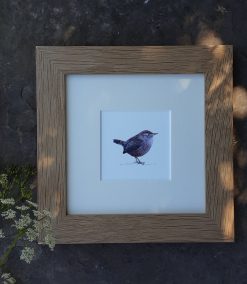 Wren print in square oak frame