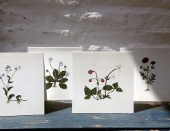 Notecard pack of 4 botanical cards