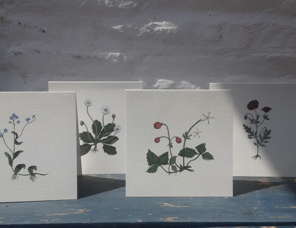 Four square cards featuring botanicals