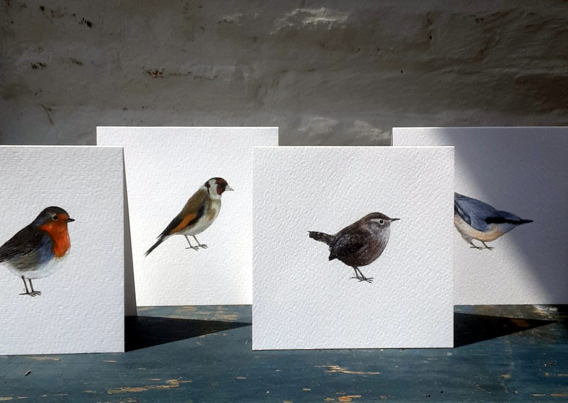 Four square cards featuring garden birds