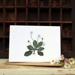A6 card featuring a Daisy and flowers