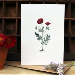 A6 card featuring Red Poppy and flowers