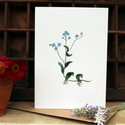 A6 card featuring Water forget me not and flowers