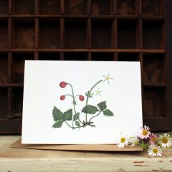 A6 card featuring a Wild Strawberry plant and flowers