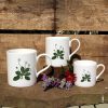3 mugs featuring the Daisy design with flowers