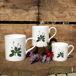 3 mugs featuring the Daisy design with flowers