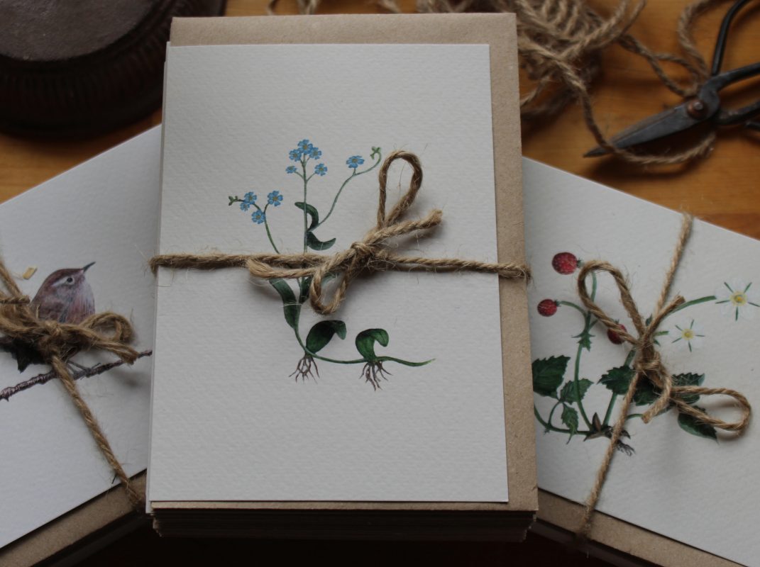 pack of flower and wren cards with string
