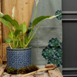 Succulent apron with pot plant and wooden spoon