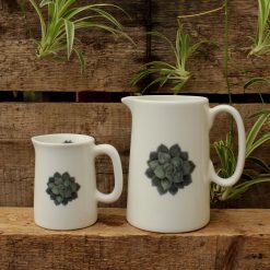 Large and small jugs with Succulent deisgn and plant