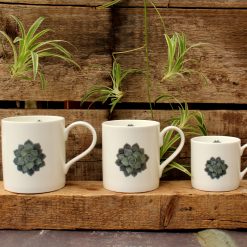 Three mugs featuring the Succulent design with plant