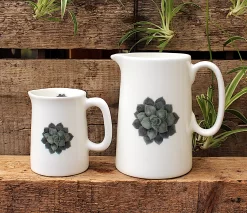 Two Succulent jugs with plant