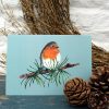 A6 Christmas card featuring a Robin on a branch