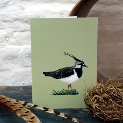 Lapwing A6 card with nest and feathers