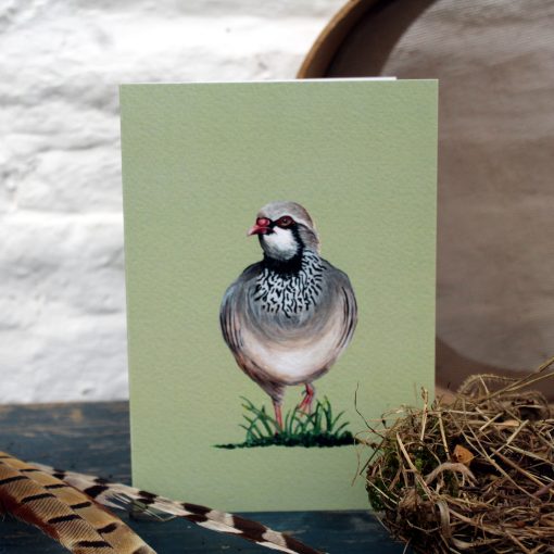 Partridge card with nest and feathers